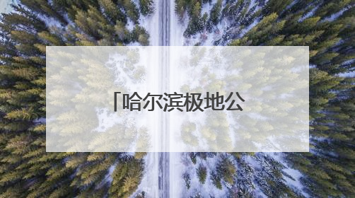哈尔滨极地公园表演、景观重磅升级，打造多元假日新体验