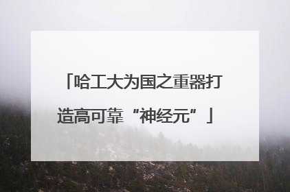 哈工大为国之重器打造高可靠“神经元”