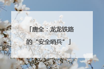 唐全：龙龙铁路的“安全哨兵”