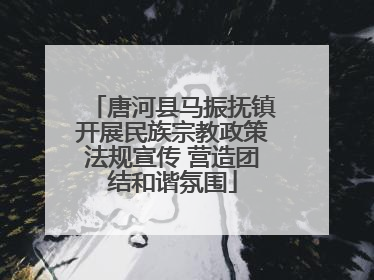 唐河县马振抚镇开展民族宗教政策法规宣传 营造团结和谐氛围