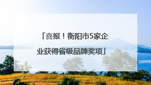 喜报！衡阳市5家企业获得省级品牌奖项