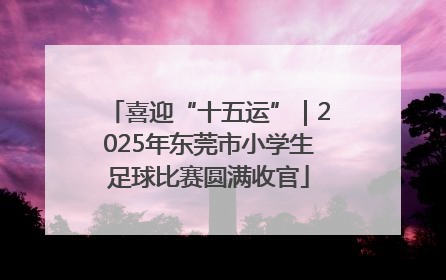 喜迎“十五运”｜2025年东莞市小学生足球比赛圆满收官