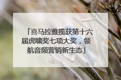 喜马拉雅揽获第十六届虎啸奖七项大奖，领航音频营销新生态