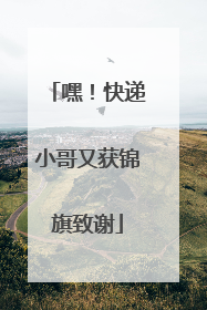 嘿！快递小哥又获锦旗致谢