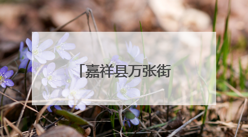 嘉祥县万张街道卫生院开展爱眼日宣传活动