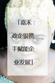 嘉禾：政企银携手赋能企业发展