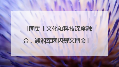 图集丨文化和科技深度融合，湖湘军团闪耀文博会