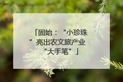 固始：“小珍珠”亮出农文旅产业“大手笔”
