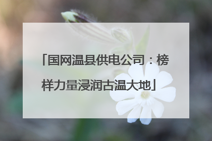 国网温县供电公司：榜样力量浸润古温大地