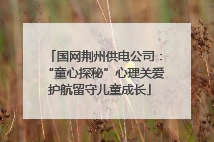 国网荆州供电公司：“童心探秘”心理关爱护航留守儿童成长