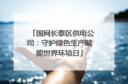 国网长泰区供电公司：守护绿色生产赋能世界环境日