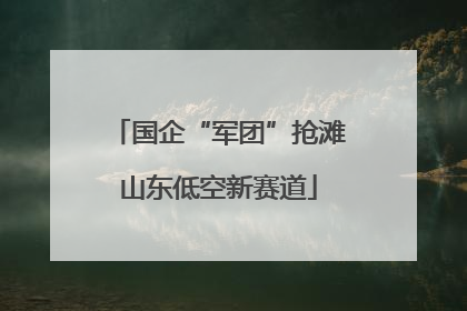 国企“军团”抢滩山东低空新赛道