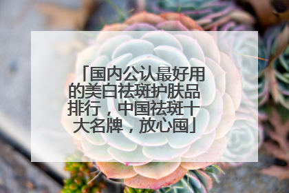 国内公认最好用的美白祛斑护肤品排行，中国祛斑十大名牌，放心囤
