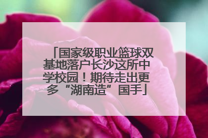 国家级职业篮球双基地落户长沙这所中学校园！期待走出更多“湖南造”国手