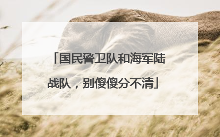 国民警卫队和海军陆战队，别傻傻分不清