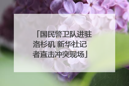 国民警卫队进驻洛杉矶 新华社记者直击冲突现场