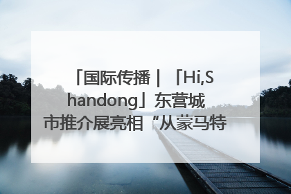 国际传播｜「Hi,Shandong」东营城市推介展亮相“从蒙马特到加里波第”文化节