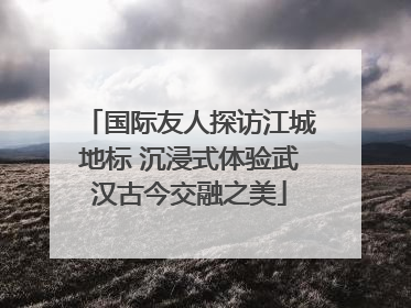 国际友人探访江城地标 沉浸式体验武汉古今交融之美