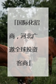 国际化招商，河北广邀全球投资客商