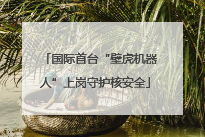 国际首台“壁虎机器人”上岗守护核安全