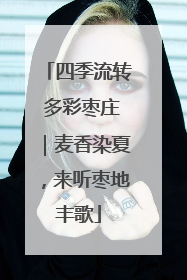 四季流转 多彩枣庄｜麦香染夏，来听枣地丰歌