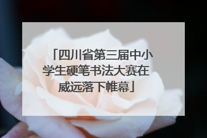 四川省第三届中小学生硬笔书法大赛在威远落下帷幕