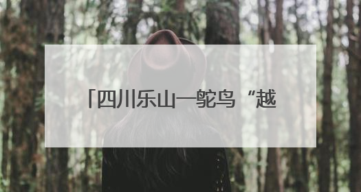 四川乐山一鸵鸟“越狱”马路狂奔，目击者：时速超40码，还对我“笑”了下