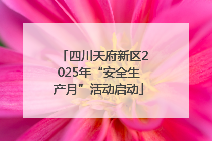 四川天府新区2025年“安全生产月”活动启动