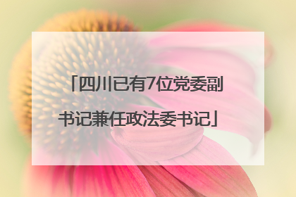 四川已有7位党委副书记兼任政法委书记