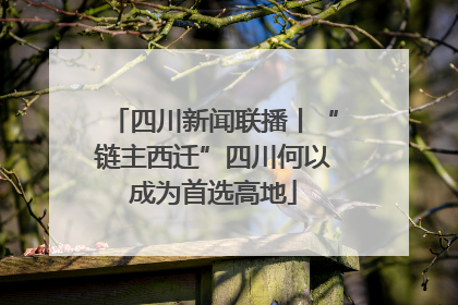 四川新闻联播丨“链主西迁”四川何以成为首选高地