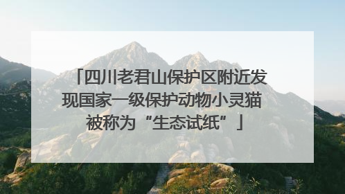 四川老君山保护区附近发现国家一级保护动物小灵猫 被称为“生态试纸”