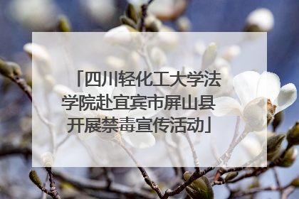 四川轻化工大学法学院赴宜宾市屏山县开展禁毒宣传活动