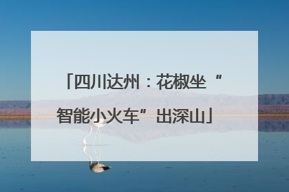 四川达州：花椒坐“智能小火车”出深山