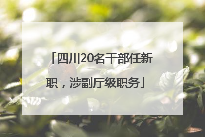 四川20名干部任新职，涉副厅级职务