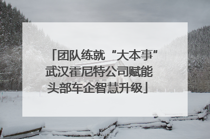 团队练就“大本事” 武汉霍尼特公司赋能头部车企智慧升级