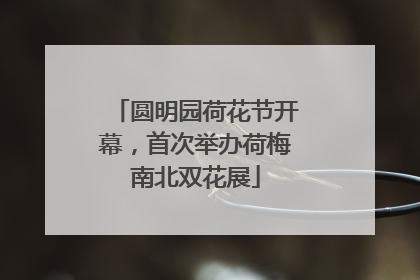 圆明园荷花节开幕，首次举办荷梅南北双花展