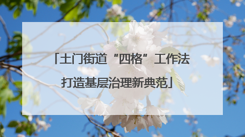 土门街道“四格”工作法 打造基层治理新典范