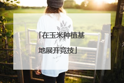 在玉米种植基地展开竞技