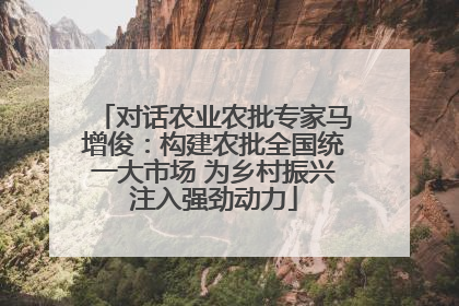 对话农业农批专家马增俊：构建农批全国统一大市场 为乡村振兴注入强劲动力