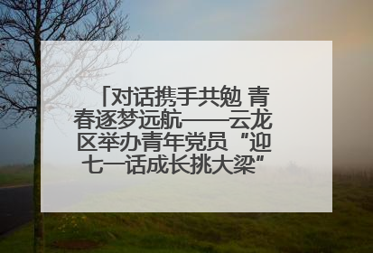 对话携手共勉 青春逐梦远航——云龙区举办青年党员“迎七一话成长挑大梁”交流活动