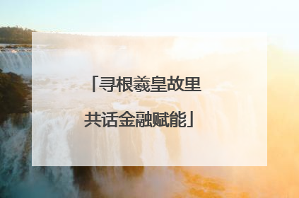 寻根羲皇故里 共话金融赋能