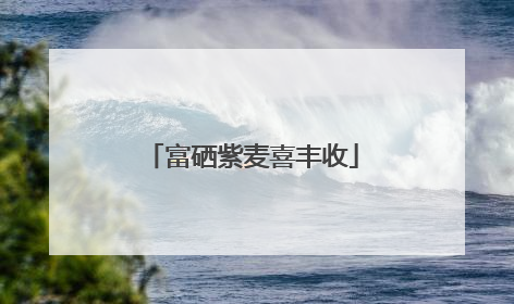 富硒紫麦喜丰收
