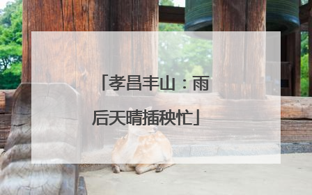 孝昌丰山：雨后天晴插秧忙