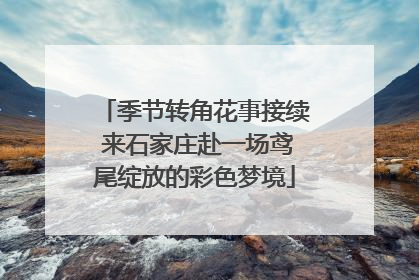 季节转角花事接续 来石家庄赴一场鸢尾绽放的彩色梦境