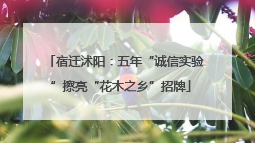 宿迁沭阳：五年“诚信实验”擦亮“花木之乡”招牌