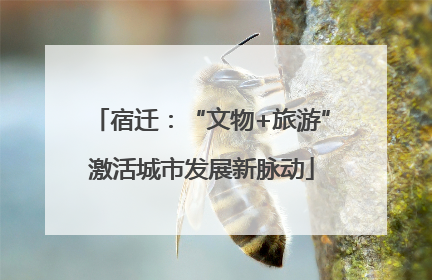 宿迁：“文物+旅游”激活城市发展新脉动