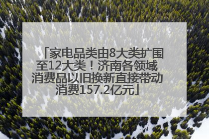 家电品类由8大类扩围至12大类！济南各领域消费品以旧换新直接带动消费157.2亿元