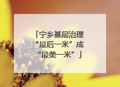宁乡基层治理“最后一米”成“最美一米”