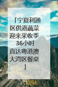 宁夏利通区供港蔬菜迎来采收季 36小时直达粤港澳大湾区餐桌