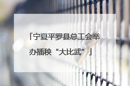 宁夏平罗县总工会举办插秧“大比武”